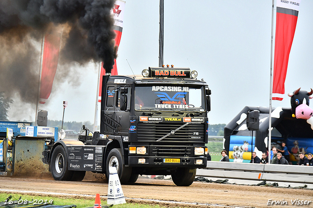 16-08-2019 Hoogblokland 279-BorderMaker 16-08-2019 Hoogblokland