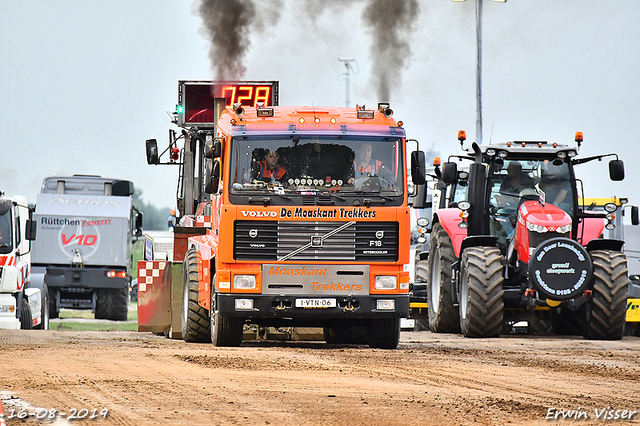 16-08-2019 Hoogblokland 304-BorderMaker 16-08-2019 Hoogblokland