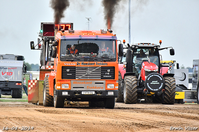 16-08-2019 Hoogblokland 305-BorderMaker 16-08-2019 Hoogblokland