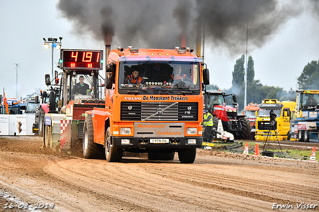 16-08-2019 Hoogblokland 309-BorderMaker 16-08-2019 Hoogblokland