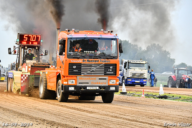 16-08-2019 Hoogblokland 311-BorderMaker 16-08-2019 Hoogblokland