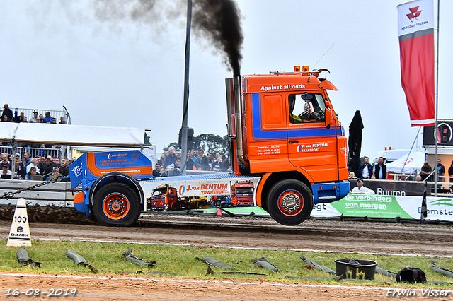 16-08-2019 Hoogblokland 390-BorderMaker 16-08-2019 Hoogblokland