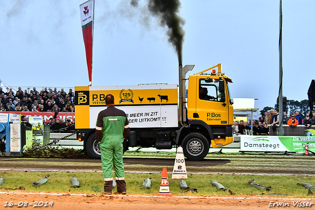 16-08-2019 Hoogblokland 482-BorderMaker 16-08-2019 Hoogblokland