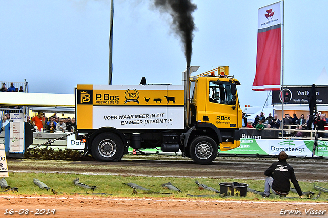 16-08-2019 Hoogblokland 483-BorderMaker 16-08-2019 Hoogblokland