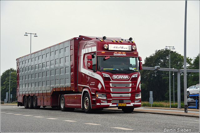 DSC 1446-border 16-07-2019 DK