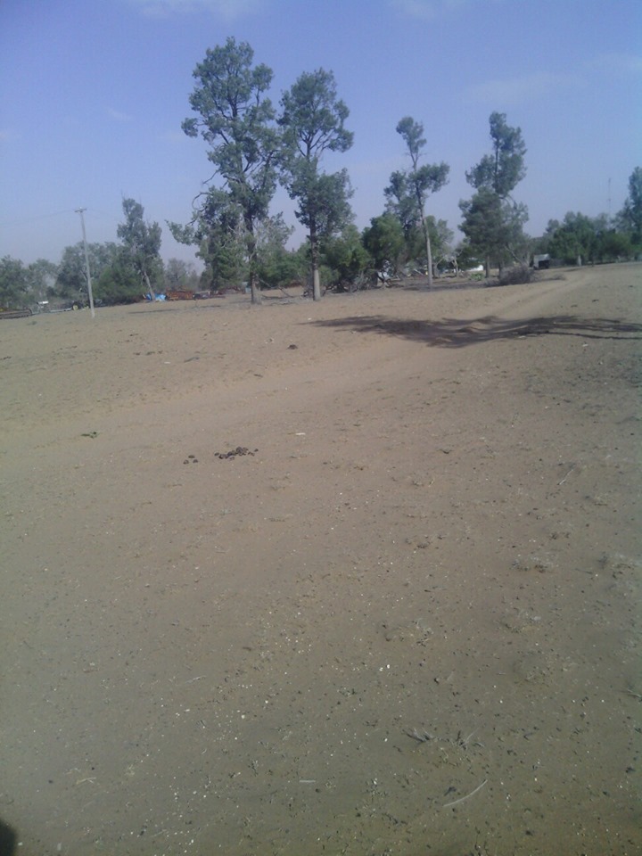 68333974 10219217690410634 8771763698923470848 n - 