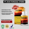 Prostamin Obat Kuat - Picture Box
