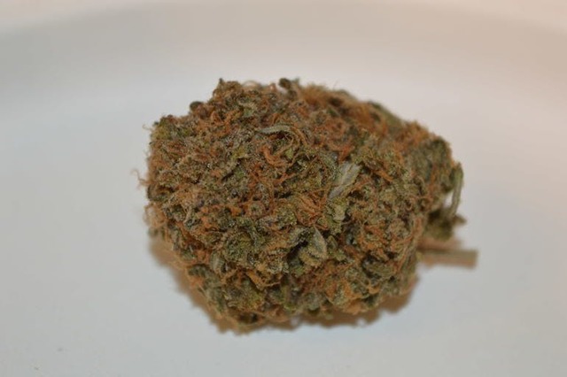 rockstar Pink Kush Strain