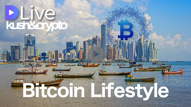 Bitcoin Lifestyle Picture Box