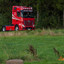Spedition Wolfgang Herrmann... - Jens Scholl, Spedition Herrmann, Kirchen powered by www.truck-pics.eu & #truckpicsfamily