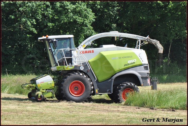 DSC 4470-BorderMaker Graskneuzen