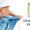 Vita Energy Vanilla
