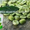 Green Coffee Grano Price In India