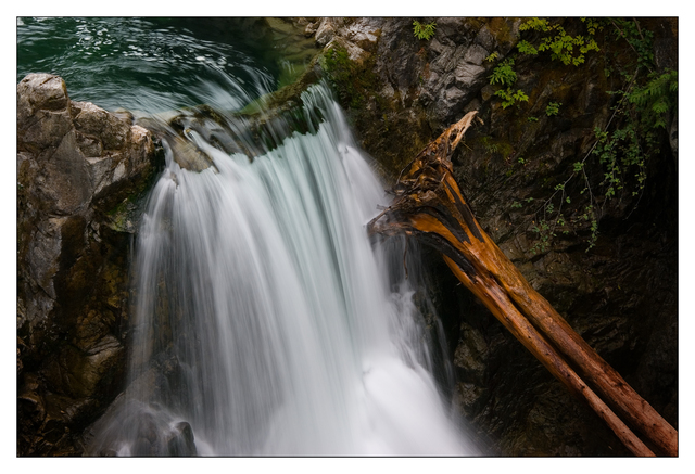Little Qualicum Falls 2019 5 Nature Images