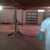 Mold removal Honolulu