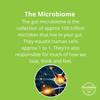 The gut microbiome is the c... - Nourishme Organics