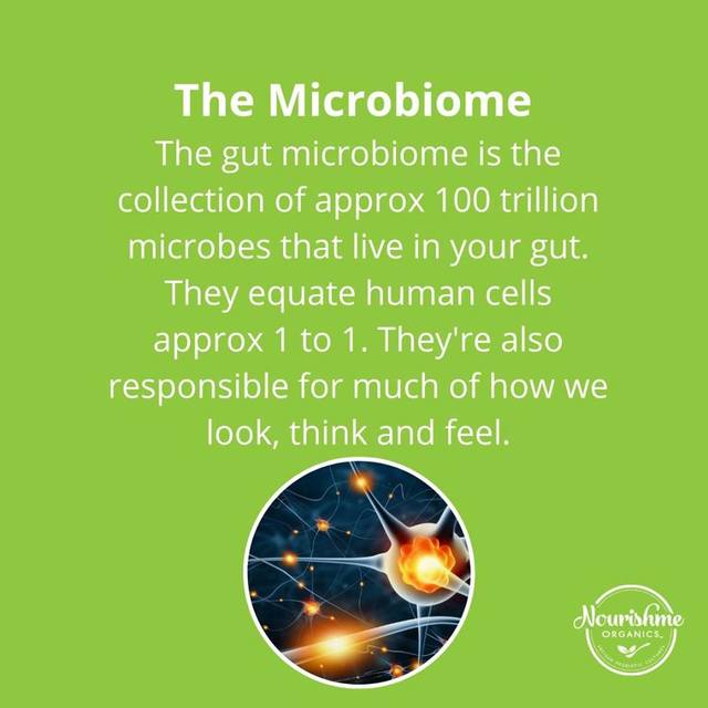 The gut microbiome is the collection of microbes t Nourishme Organics