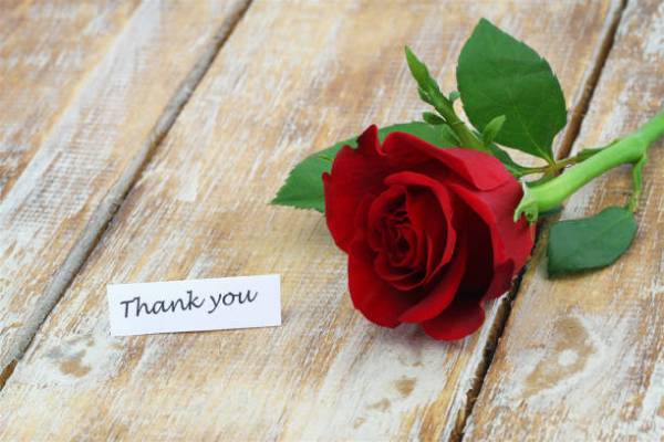 Thank You Images for Whatsapp Status 2019 Picture Box