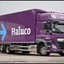 79-BGT-5 DAF CF Haluco2-Bor... - 2019