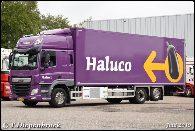 79-BGT-5 DAF CF Haluco-BorderMaker 2019