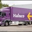 79-BGT-5 DAF CF Haluco-Bord... - 2019