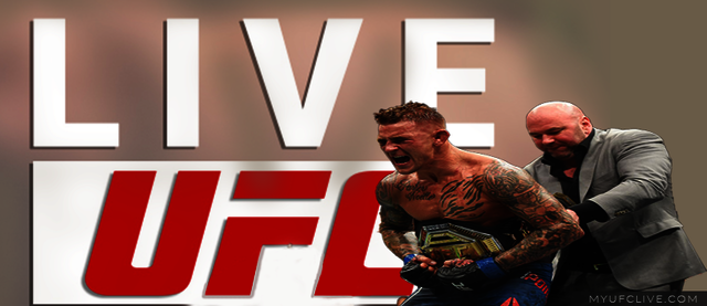 ufc live ufc live