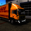 ets2 Man TGL 12 240 BDF DHL - ETS2 prive