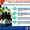 Exactly What Is We The Peop... - We the People CBD Oil