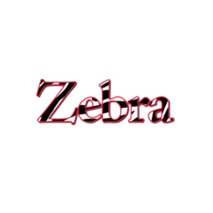 The-Zebra LOGO The Zebra Press