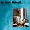 chicago car accident lawyer - Salvi, Schostok & Pritchard...