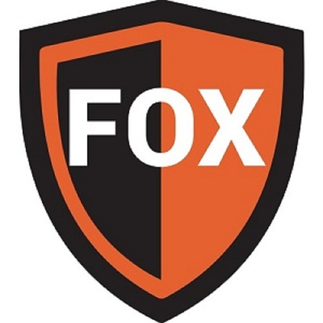 500x500 - Copy Cyber Security FOX
