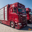 LÃ¤ndle Truck Show #truckpi... - LÃ¤ndle Truck Show 2019, #truckpicsfamily, www.truck-pics.eu, Truckshow