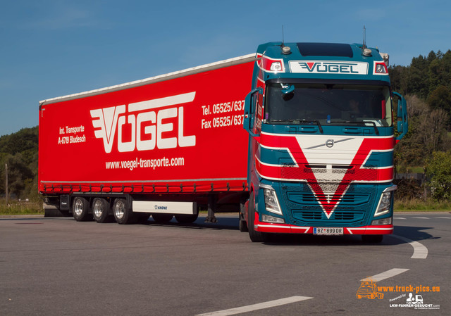 LÃ¤ndle Truck Show #truckpicsfamily, www LÃ¤ndle Truck Show 2019, #truckpicsfamily, www.truck-pics.eu, Truckshow