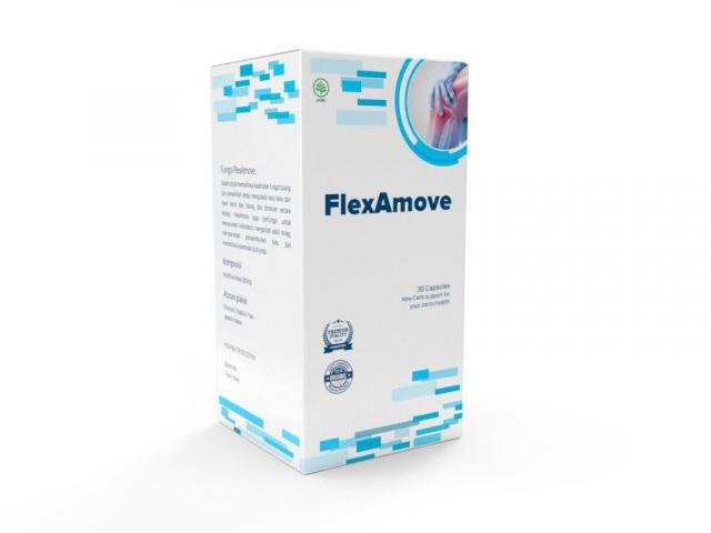 Flexamove Ulasan Picture Box
