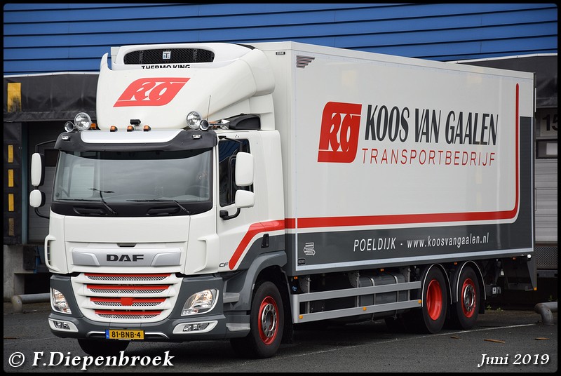 81-BNB-4 DAF CF K van Gaalen-BorderMaker - 2019