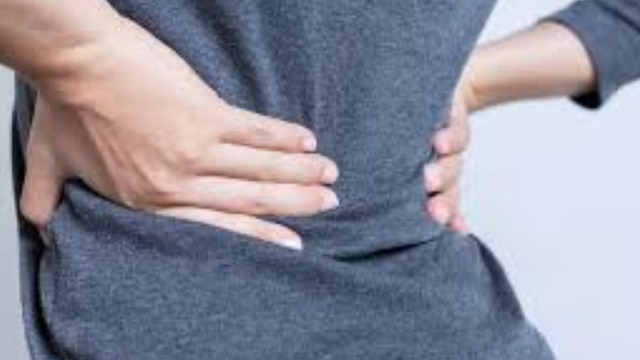 85d6bf74-2210-49b0-abd8-5461a91b927a How does Vitamove Reviews Back Pain Relief Works?