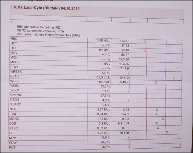 1 - bloeduitslagen red