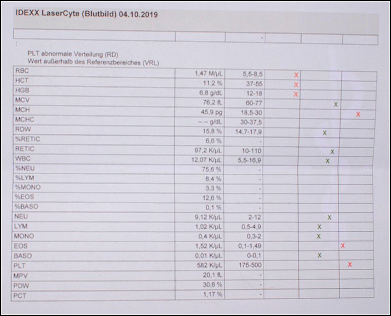 3 - bloeduitslagen red