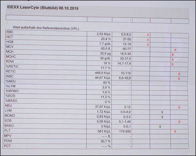 5 - bloeduitslagen red