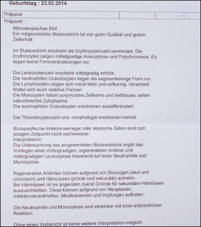 7 - bloeduitslagen red