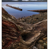 Comox Lake Fall 2019 3 - Landscapes
