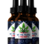 Cbd-oil - What Are The Ingredients Present In It?