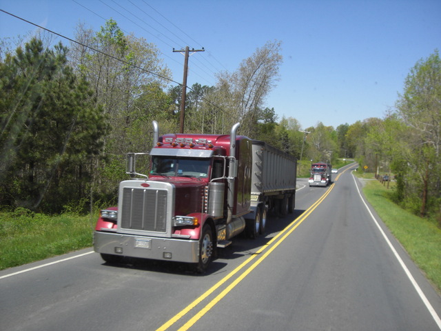 CIMG0380 Trucks