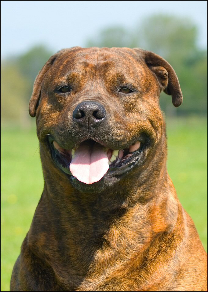 58734969 614734999002754 6314886949270192128 n - red 21 okt