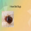 bed bug removal nj - I Have Bed Bugs