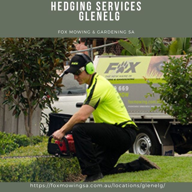 Hedging Services Glenelg foxmowingsa