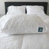 How Can Sleepgram Pillows F... - Picture Box
