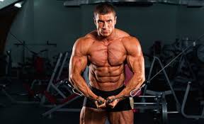 index Now Key Tactics The Pros Use For Tororev Muscle Builder