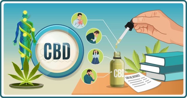 how-to-use-cbd-oil-01 Thinking About Ever Mixture Cbd? Now Reasons Why It's Time To Stop!