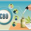 how-to-use-cbd-oil-01 - Thinking About Ever Mixture Cbd? Now Reasons Why It's Time To Stop!
